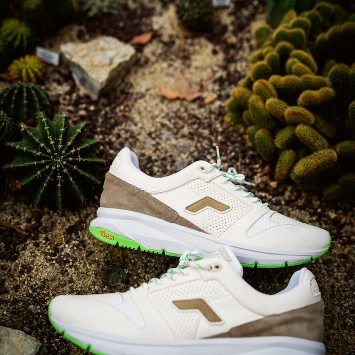 White and beige sneakers placed on rocky ground among green cacti.